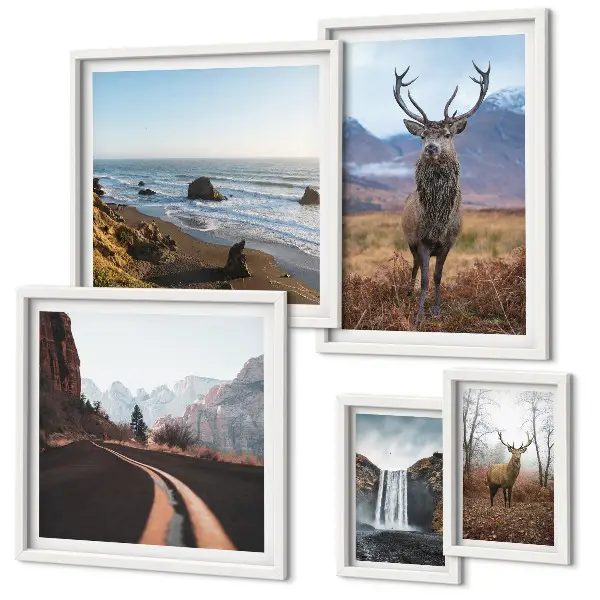 Set de 5 cuadros para salón con motivos de naturaleza, animales salvajes y paisajes