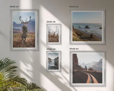 Set de 5 cuadros para salón con motivos de naturaleza, animales salvajes y paisajes