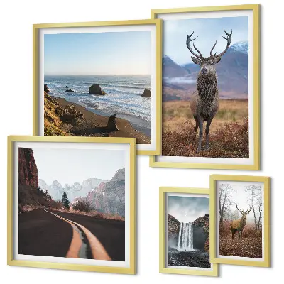 Set de 5 cuadros para salón con motivos de naturaleza, animales salvajes y paisajes