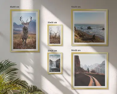 Set de 5 cuadros para salón con motivos de naturaleza, animales salvajes y paisajes