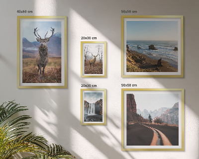 Set de 5 cuadros para salón Naturaleza, animales salvajes, paisajes
