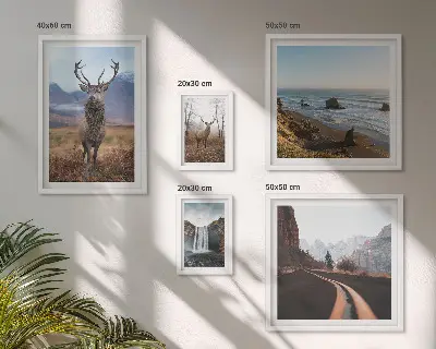Set de 5 cuadros para salón con motivos de naturaleza, animales salvajes y paisajes