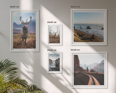 Set de 5 cuadros para salón Naturaleza, animales salvajes, paisajes