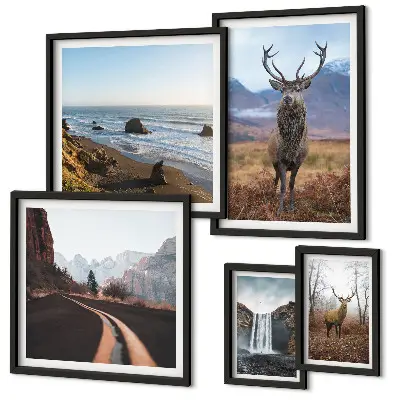 Set de 5 cuadros para salón con motivos de naturaleza, animales salvajes y paisajes