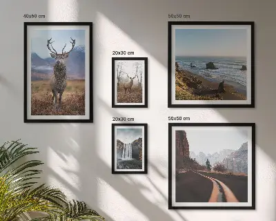 Set de 5 cuadros para salón con motivos de naturaleza, animales salvajes y paisajes