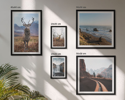 Set de 5 cuadros para salón Naturaleza, animales salvajes, paisajes