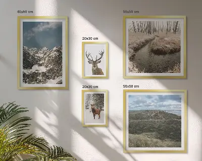 Pared galería de arte naturaleza salvaje con majestuosas montañas