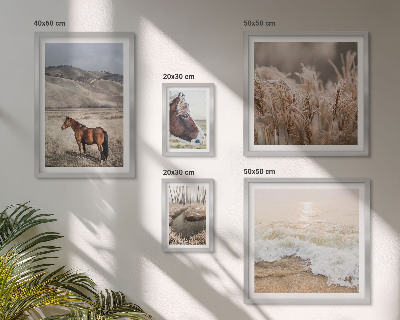 Conjunto de cuadros decorativos Paisajes con caballos y agua.