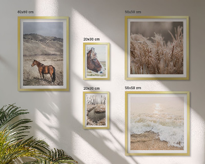 Conjunto de cuadros decorativos Paisajes con caballos y agua.