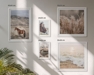 Conjunto de cuadros decorativos Paisajes con caballos y agua.