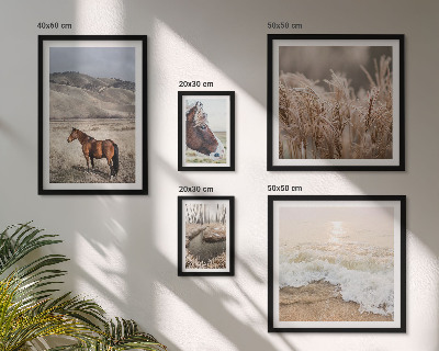 Conjunto de cuadros decorativos Paisajes con caballos y agua.
