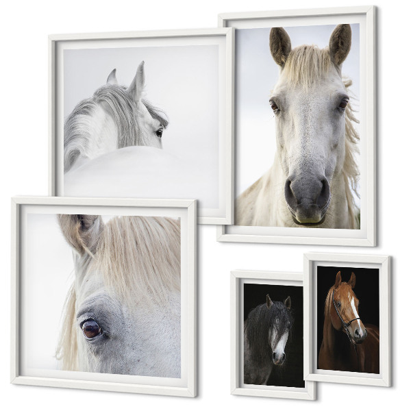 Set de 5 cuadros para salón Retratos de caballos en estilos artísticos