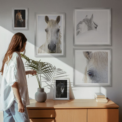 Set de 5 cuadros para salón Retratos de caballos en estilos artísticos