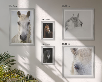 Set de 5 cuadros para salón Retratos de caballos en estilos artísticos