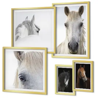 Set de 5 cuadros para salón con retratos de caballos en estilos artísticos