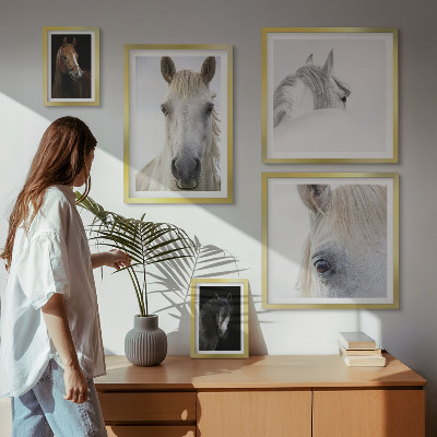Set de 5 cuadros para salón Retratos de caballos en estilos artísticos