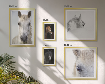 Set de 5 cuadros para salón Retratos de caballos en estilos artísticos