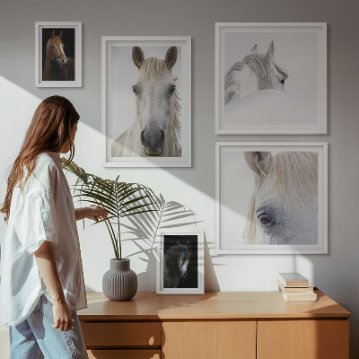 Set de 5 cuadros para salón Retratos de caballos en estilos artísticos