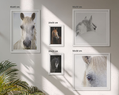 Set de 5 cuadros para salón Retratos de caballos en estilos artísticos