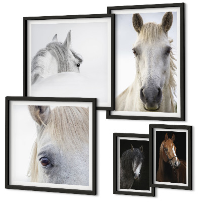 Set de 5 cuadros para salón Retratos de caballos en estilos artísticos