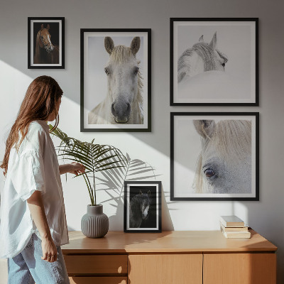 Set de 5 cuadros para salón Retratos de caballos en estilos artísticos