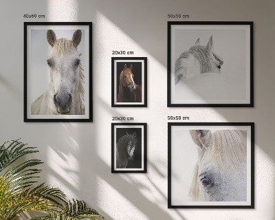 Set de 5 cuadros para salón Retratos de caballos en estilos artísticos