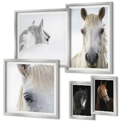 Set de 5 cuadros para salón con retratos de caballos en estilos artísticos