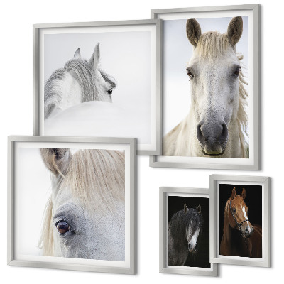 Set de 5 cuadros para salón Retratos de caballos en estilos artísticos