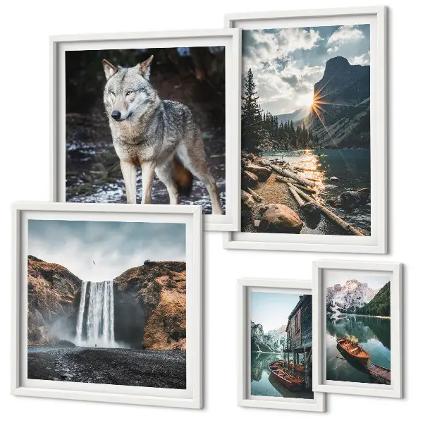 Pared galería de arte con paisajes naturales y fauna silvestre