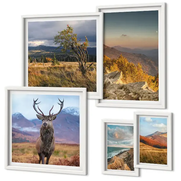 Conjunto de cuadros decorativos con paisajes de vida silvestre de montaña