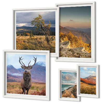 Conjunto de cuadros decorativos paisajes de vida silvestre de montaña