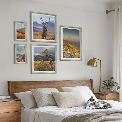 Conjunto de cuadros decorativos con paisajes de vida silvestre de montaña