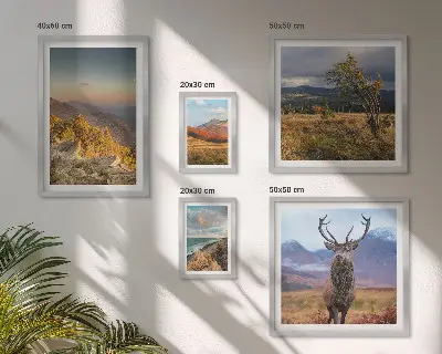Conjunto de cuadros decorativos con paisajes de vida silvestre de montaña