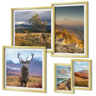 Conjunto de cuadros decorativos con paisajes de vida silvestre de montaña
