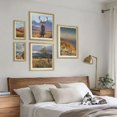 Conjunto de cuadros decorativos con paisajes de vida silvestre de montaña