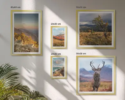 Conjunto de cuadros decorativos con paisajes de vida silvestre de montaña