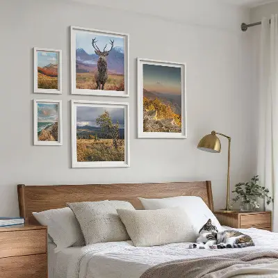 Conjunto de cuadros decorativos con paisajes de vida silvestre de montaña