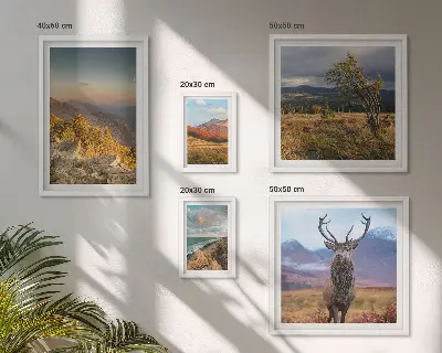 Conjunto de cuadros decorativos con paisajes de vida silvestre de montaña
