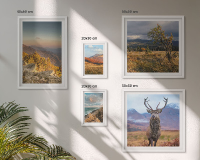 Conjunto de cuadros decorativos paisajes de vida silvestre de montaña
