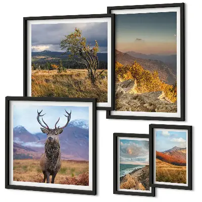 Conjunto de cuadros decorativos con paisajes de vida silvestre de montaña