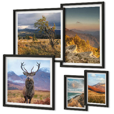 Conjunto de cuadros decorativos paisajes de vida silvestre de montaña