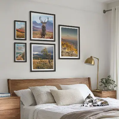 Conjunto de cuadros decorativos con paisajes de vida silvestre de montaña