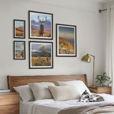 Conjunto de cuadros decorativos paisajes de vida silvestre de montaña