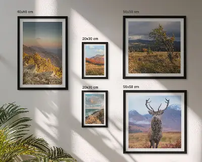 Conjunto de cuadros decorativos con paisajes de vida silvestre de montaña