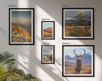 Conjunto de cuadros decorativos paisajes de vida silvestre de montaña