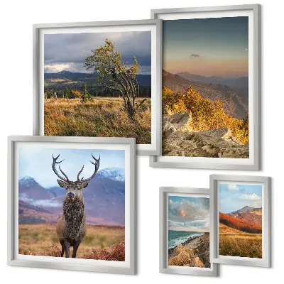 Conjunto de cuadros decorativos con paisajes de vida silvestre de montaña