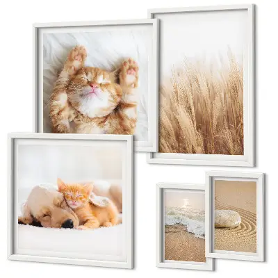 Conjunto de cuadros decorativos con lindos paisajes y animales