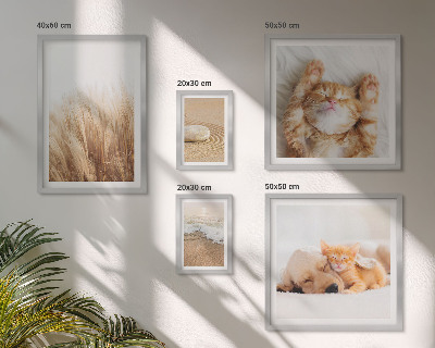 Conjunto de cuadros decorativos Lindos paisajes con animales