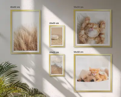 Conjunto de cuadros decorativos con lindos paisajes y animales