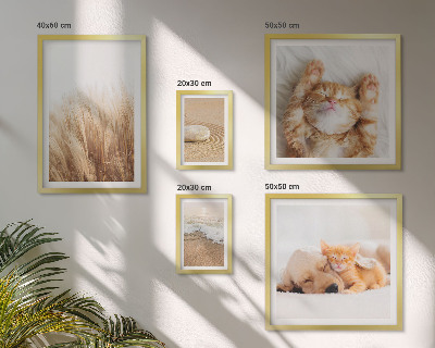 Conjunto de cuadros decorativos Lindos paisajes con animales